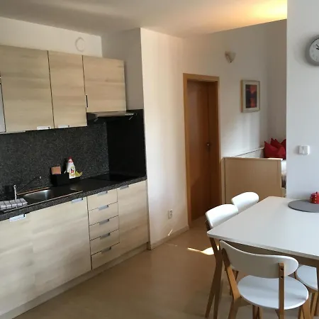 Apartment 302 Harrachov